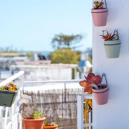 Al - Local Bicuar Gasthof 3*